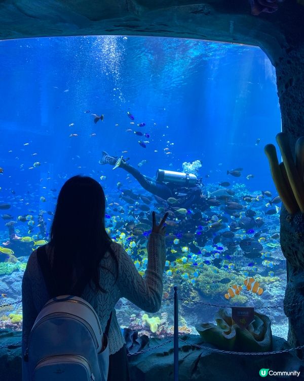 飛船樂園海底世界好適合打卡,樂園遊玩設施比較bb班,帶小朋友...