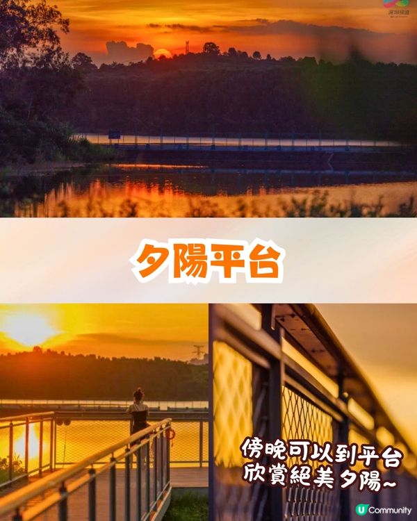 深圳南山區療癒系綠道🌲純白摩登建築/夕陽平台/絕美湖景☀️秋日散步好去處