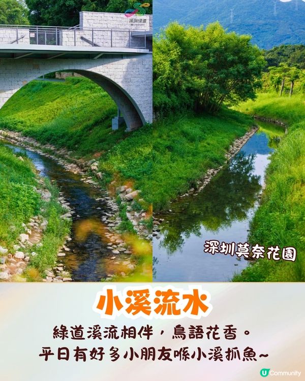 深圳南山區療癒系綠道🌲純白摩登建築/夕陽平台/絕美湖景☀️秋日散步好去處