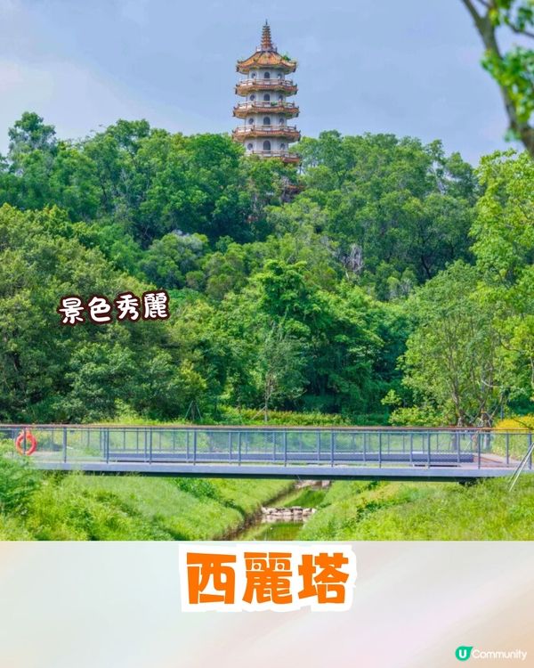 深圳南山區療癒系綠道🌲純白摩登建築/夕陽平台/絕美湖景☀️秋日散步好去處