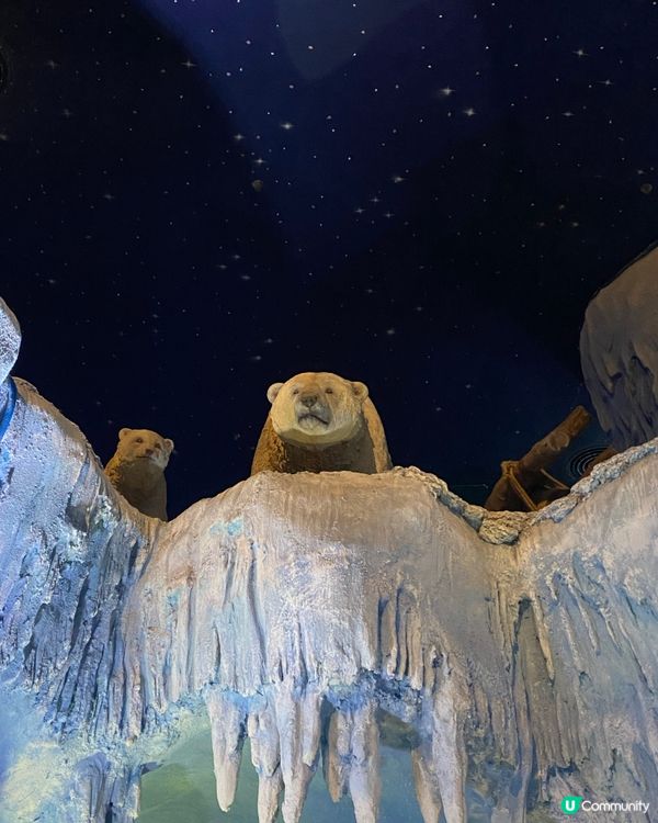 珠海長隆海洋王國:有好多刺激嘅機動遊戲,有一個我驚到只敢玩一...