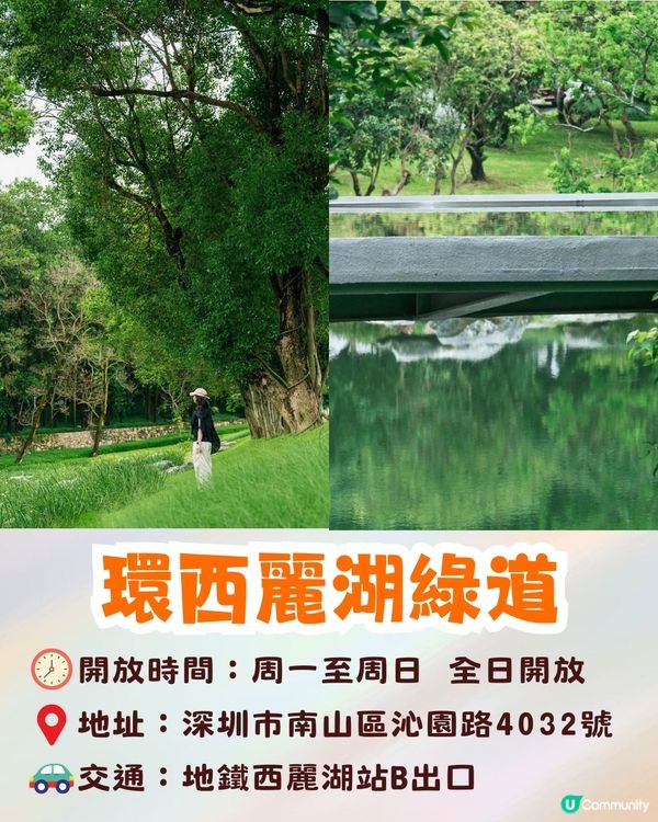 深圳南山區療癒系綠道🌲純白摩登建築/夕陽平台/絕美湖景☀️秋日散步好去處