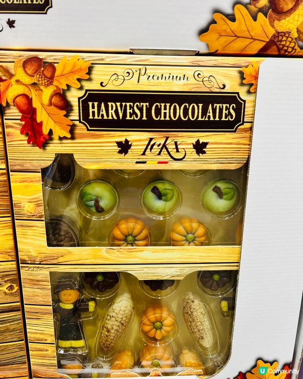 2024前海山姆萬聖節產品｜裝飾｜抱枕｜毛毯｜朱古力｜糖果