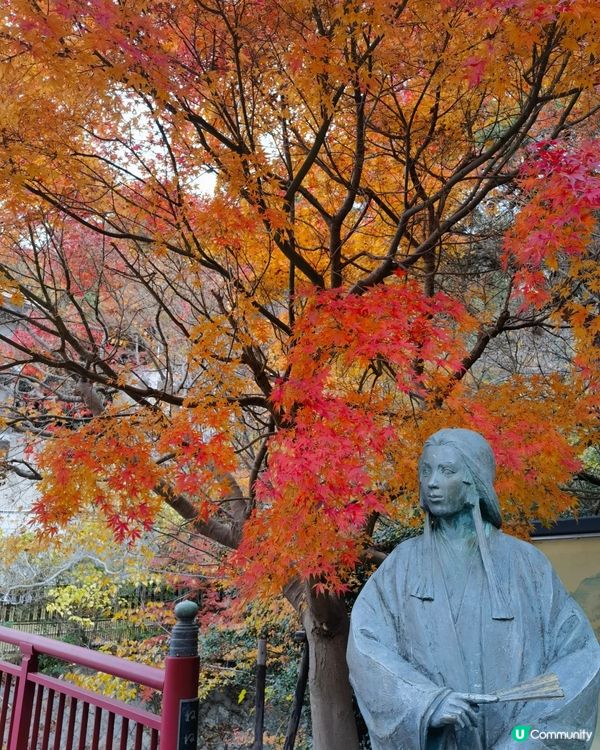 🇯🇵鐮倉賞楓必去三大景點 詳細攻略
