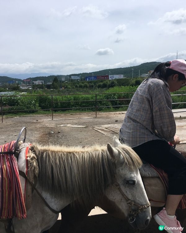 雲南拉市海騎馬🐎 茶馬古道體驗😎