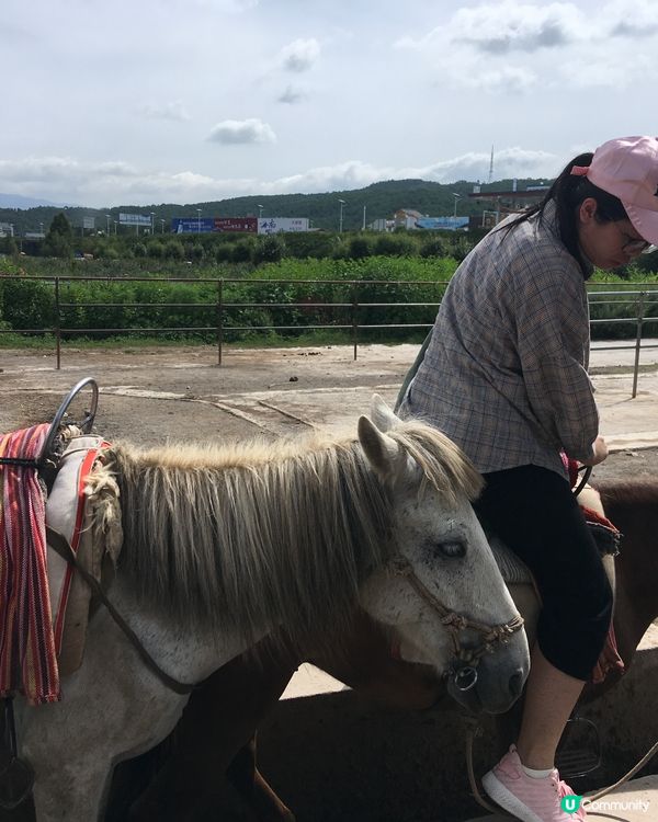 雲南拉市海騎馬🐎 茶馬古道體驗😎