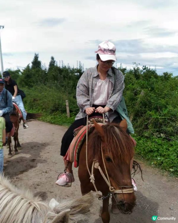 雲南拉市海騎馬🐎 茶馬古道體驗😎