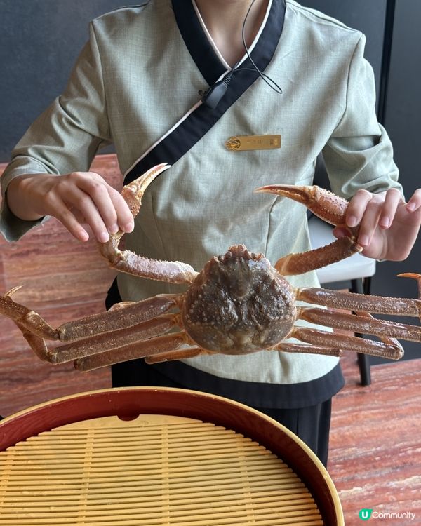 深圳灣一號🦀️蟹仙畫宴，打卡必備！