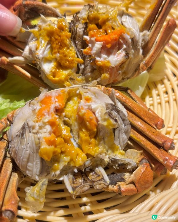 🦀🔥旺角大閘蟹、生蠔、海膽無!限!時!放題!