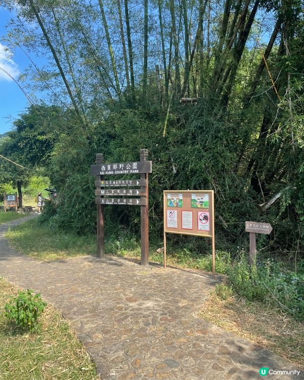 西貢郊野公園行山樂