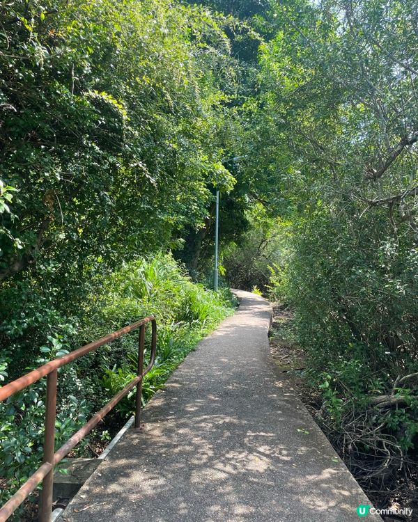 西貢郊野公園行山樂