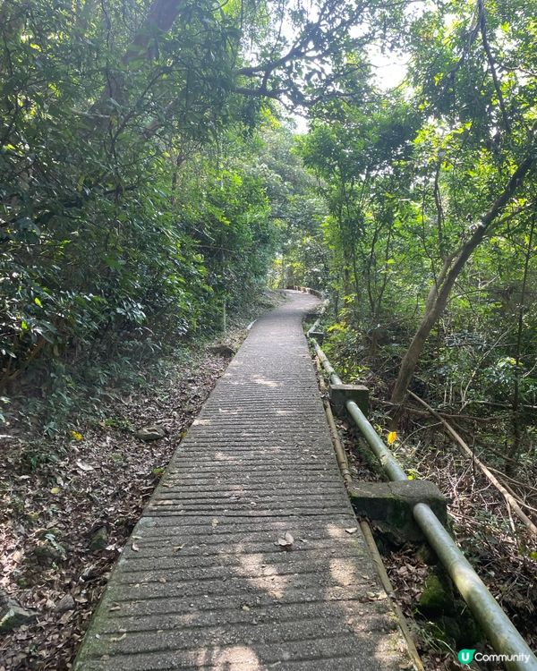 西貢郊野公園行山樂