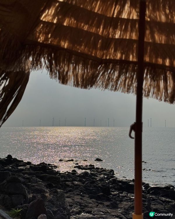 🌊 濟州島必到咖啡廳🌅