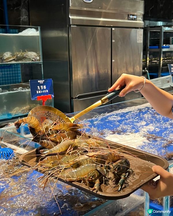 ## 深圳必食！蒸汽海鮮自助🦞醫學博士研發，養生又美味！