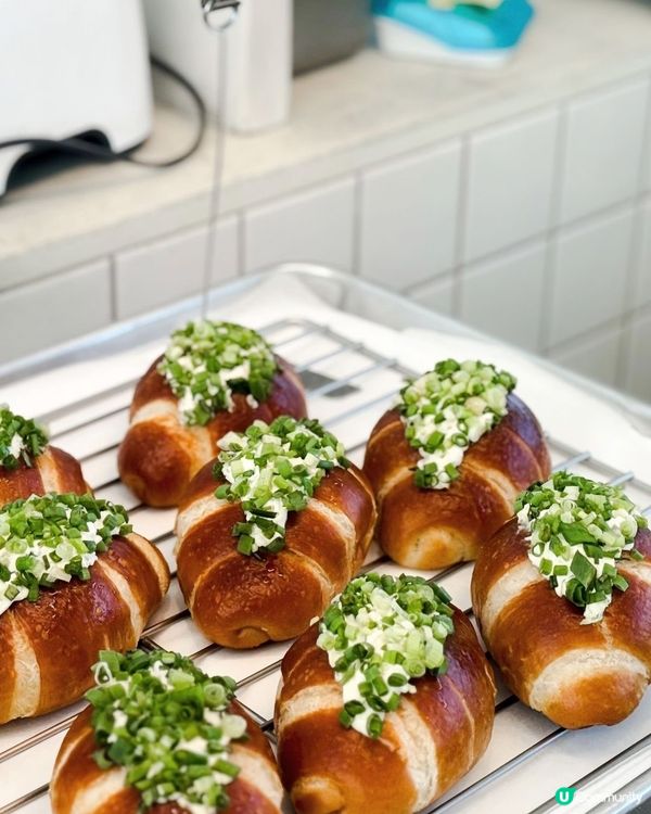 濟州甜到漏打卡咖啡店☕️🐶