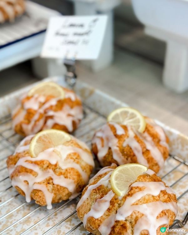 濟州甜到漏打卡咖啡店☕️🐶