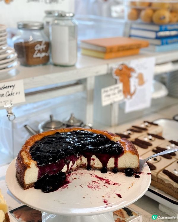 濟州甜到漏打卡咖啡店☕️🐶