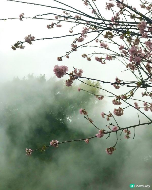 🌋✨【探索台灣陽明山地熱谷的魅力】✨🌋