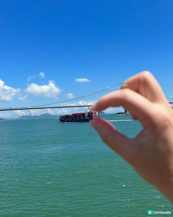 飽覽青馬、汀九橋🌁🌸機場核心計劃展覽中心打卡📸🌴