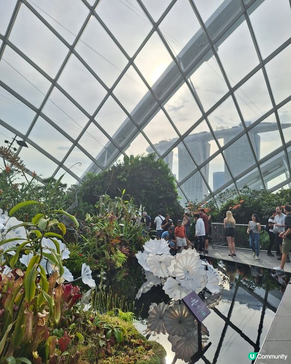 唔潮濕 好舒服好開心咁睇嘅cloud forest