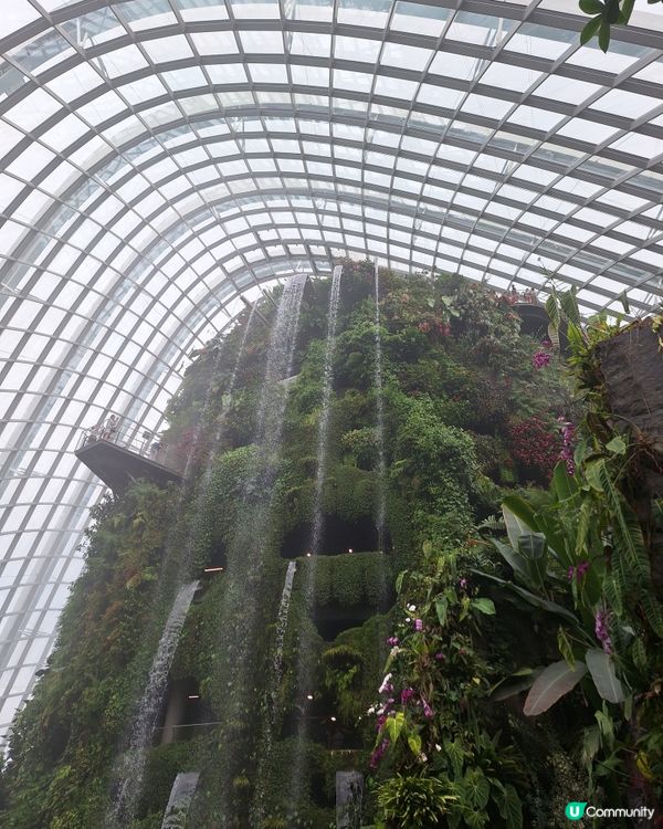 唔潮濕 好舒服好開心咁睇嘅cloud forest