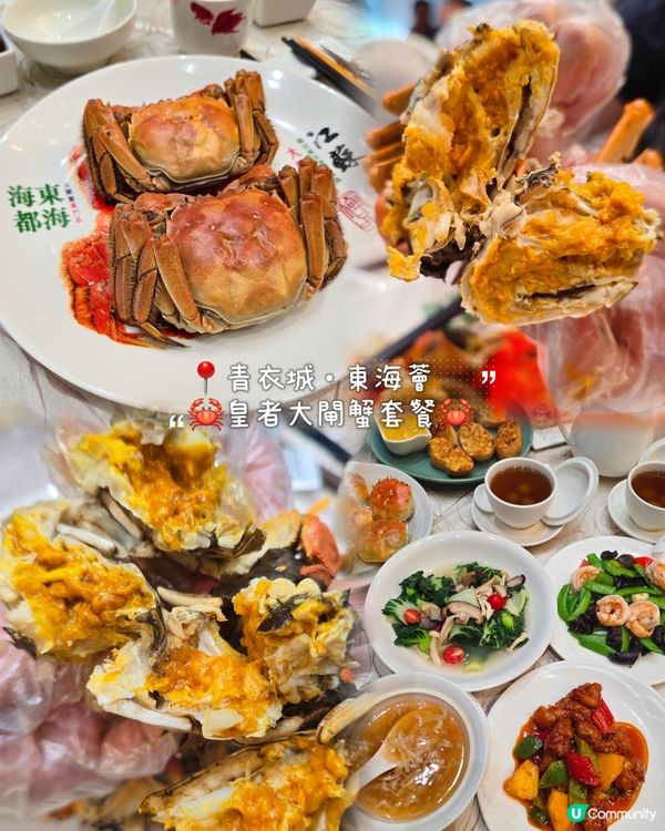 ## 食蟹季節到啦🦀  東海薈食皇者大閘蟹！