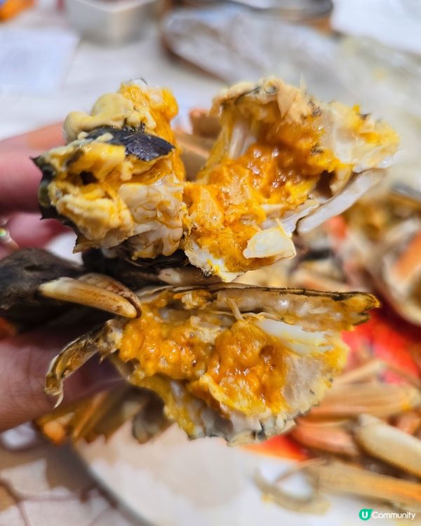 ## 食蟹季節到啦🦀  東海薈食皇者大閘蟹！