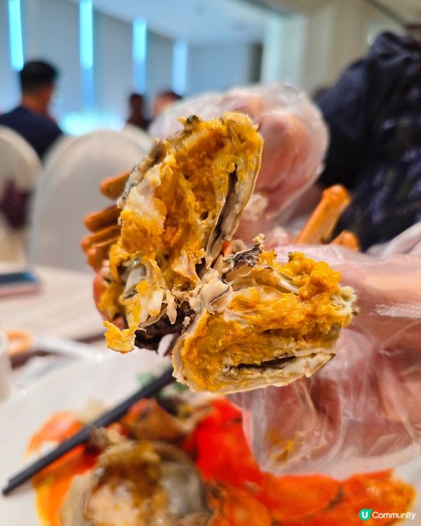 ## 食蟹季節到啦🦀  東海薈食皇者大閘蟹！