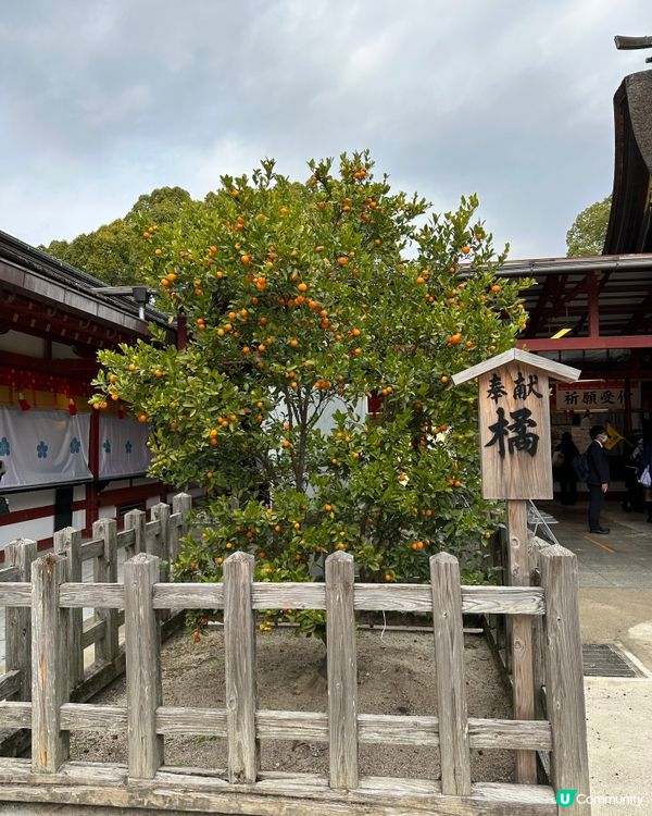 🇯🇵❤️福岡太宰府旅行必到勝地 - 文化⛩️美食🍡美景🏞️
