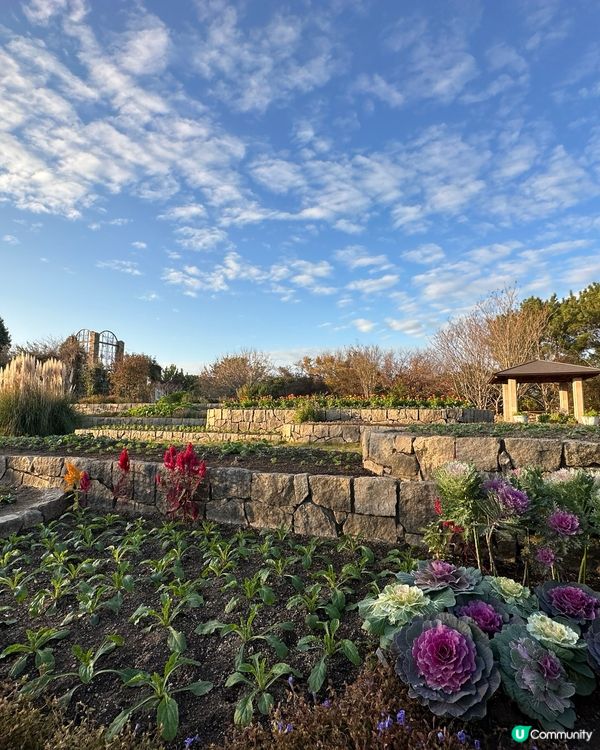 🇯🇵🎯福岡海之中道海濱公園🔎國家級景點介紹 🌊