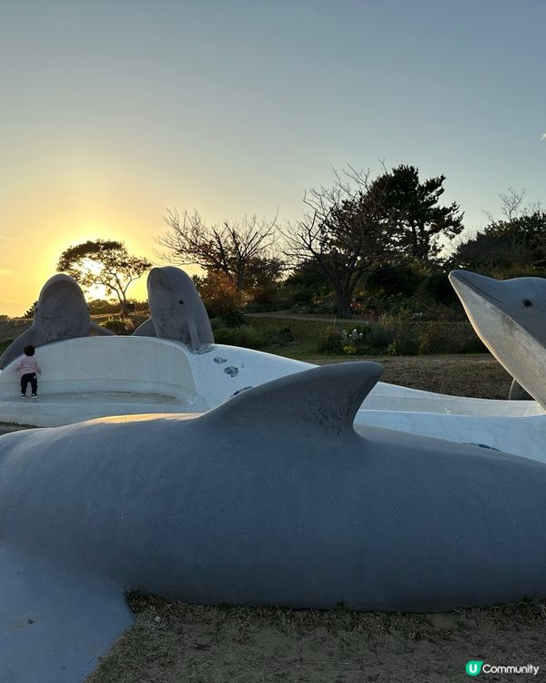 🇯🇵🎯福岡海之中道海濱公園🔎國家級景點介紹 🌊