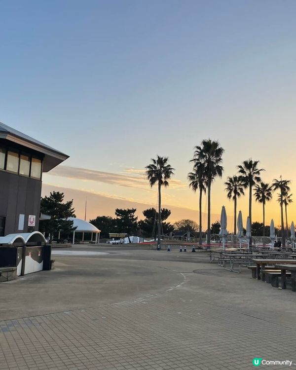 🇯🇵🎯福岡海之中道海濱公園🔎國家級景點介紹 🌊