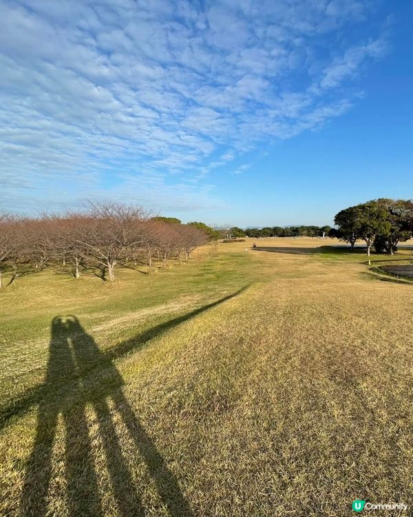 🇯🇵🎯福岡海之中道海濱公園🔎國家級景點介紹 🌊