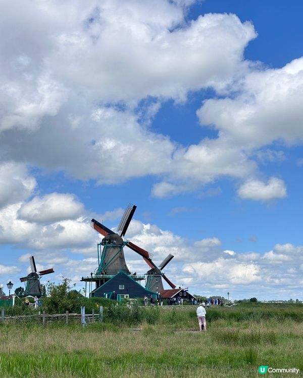 荷蘭童話小鎮🇳🇱風車村💕