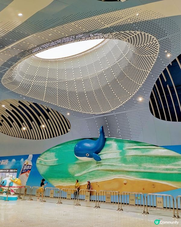 深圳大梅沙🏖️  平靚正！