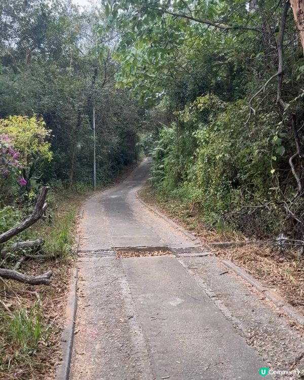 上水行山打卡 ⛰️ 大石磨山頭靚景 📸