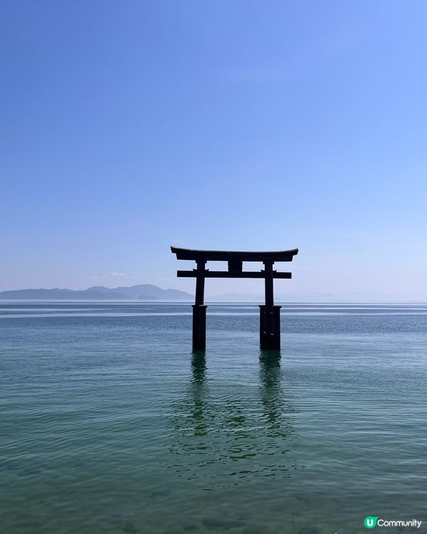 🇯🇵琵琶湖～極夢幻「湖中鳥居」⛩️