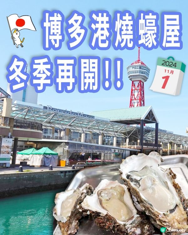 ⚠️蠔FANS注意🇯🇵福岡食蠔🦪季番黎啦💌