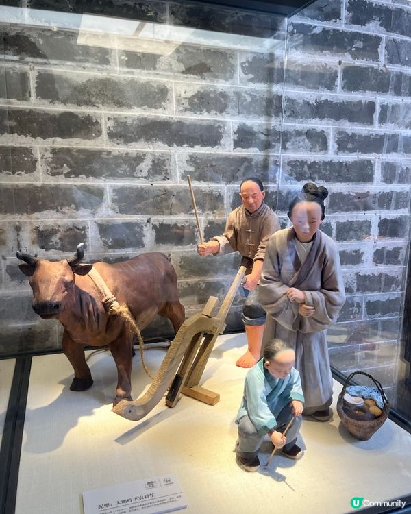 深圳大鵬所城打卡📸 古色古香，免費入場！