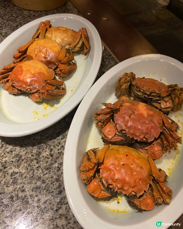 彷彿穿越回古代😂食肥美大閘蟹🦀🦀