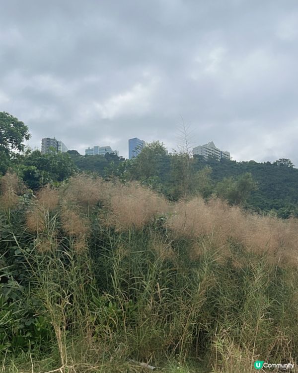 ☀️🏖️ 香港靚海灘，chill & relax place⭐️