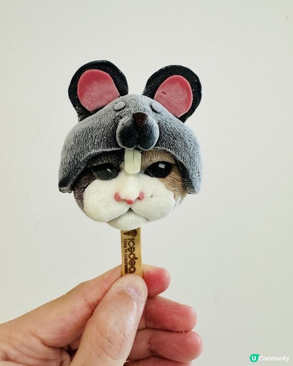 世界上最可愛又殘忍嘅雪糕