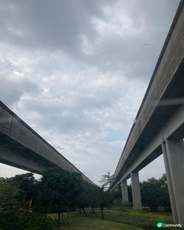 ## 週末日式超市尋寶之旅 🧙‍♂️🛒