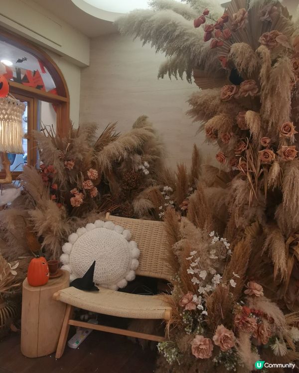 長沙灣美食打卡 Boholic