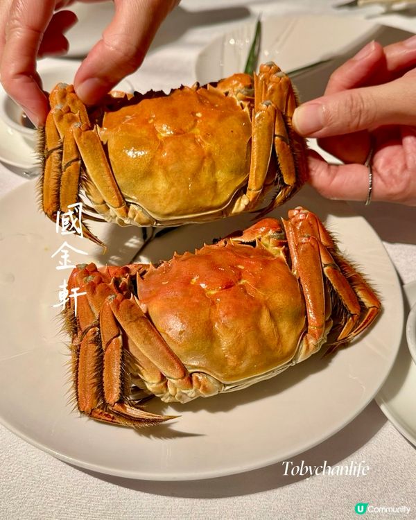 尖沙咀國金軒🦀 秋季大閘蟹宴！$888/位