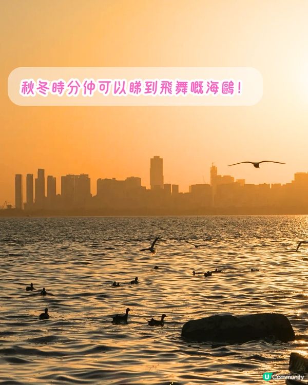 深圳打卡日落公園5選🌄超浪漫/唯美晚霞‼️附地址+交通教學🚗