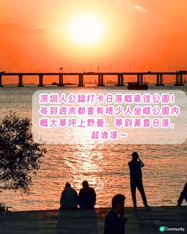 深圳打卡日落公園5選🌄超浪漫/唯美晚霞‼️附地址+交通教學🚗
