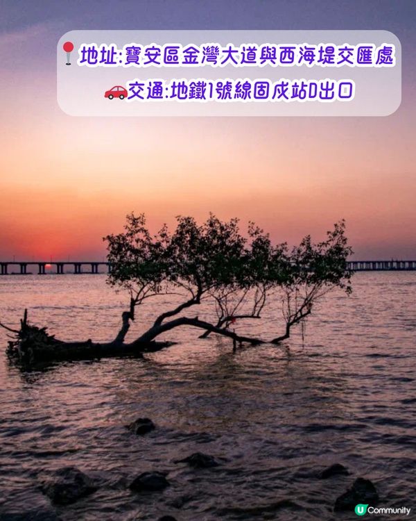 深圳打卡日落公園5選🌄超浪漫/唯美晚霞‼️附地址+交通教學🚗