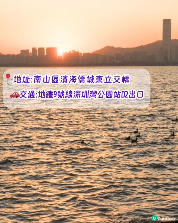 深圳打卡日落公園5選🌄超浪漫/唯美晚霞‼️附地址+交通教學🚗