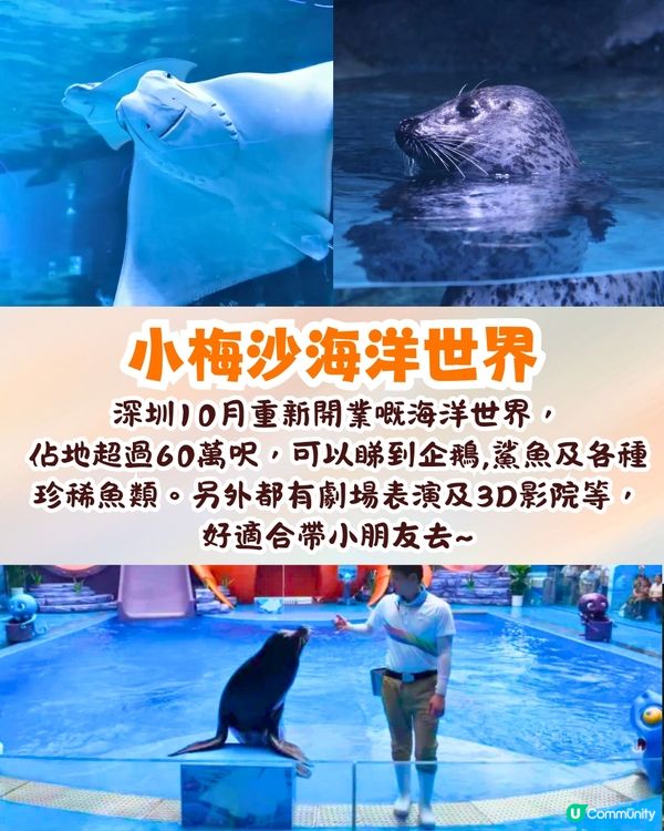 深圳大鵬小梅沙兩日一夜攻略(二)✨歐洲小鎮/海邊燈塔/海洋世界🚗附交通資訊